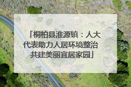 桐柏县淮源镇：人大代表助力人居环境整治 共建美丽宜居家园