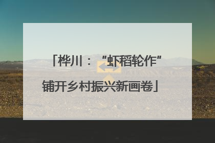 桦川：“虾稻轮作”铺开乡村振兴新画卷