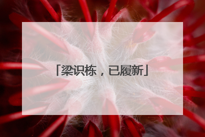 梁识栋，已履新