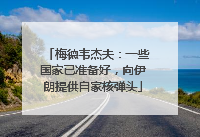 梅德韦杰夫：一些国家已准备好，向伊朗提供自家核弹头