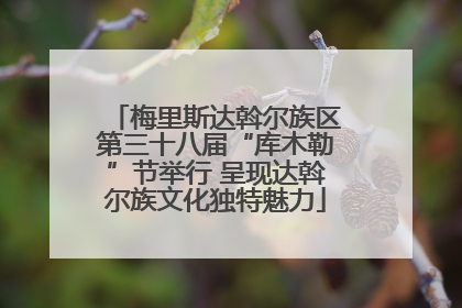 梅里斯达斡尔族区第三十八届“库木勒”节举行 呈现达斡尔族文化独特魅力