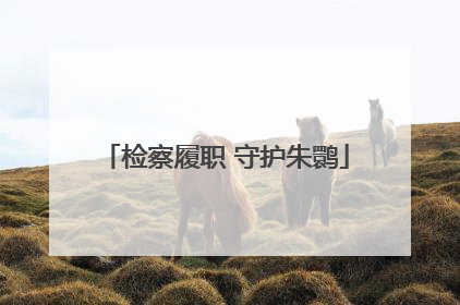 检察履职 守护朱鹮