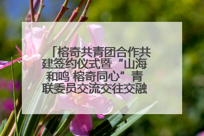 榕奇共青团合作共建签约仪式暨“山海和鸣 榕奇同心”青联委员交流交往交融活动在福州举行