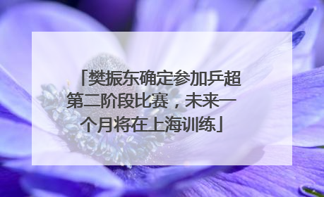 樊振东确定参加乒超第二阶段比赛，未来一个月将在上海训练