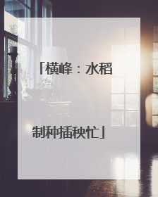 横峰：水稻制种插秧忙