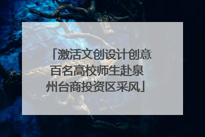 激活文创设计创意 百名高校师生赴泉州台商投资区采风