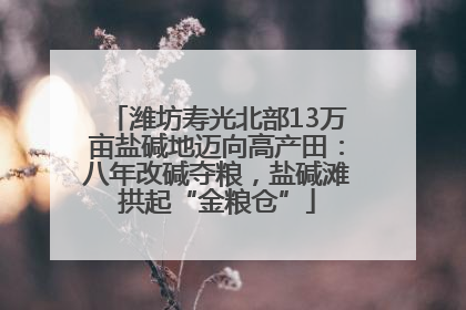 潍坊寿光北部13万亩盐碱地迈向高产田：八年改碱夺粮，盐碱滩拱起“金粮仓”