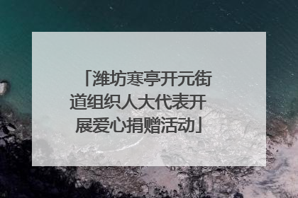 潍坊寒亭开元街道组织人大代表开展爱心捐赠活动