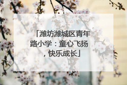 潍坊潍城区青年路小学：童心飞扬，快乐成长