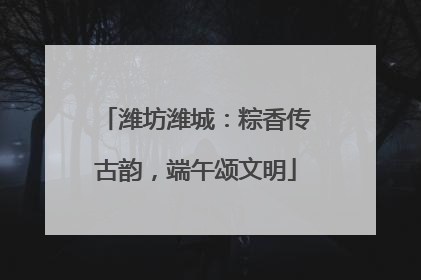 潍坊潍城：粽香传古韵，端午颂文明