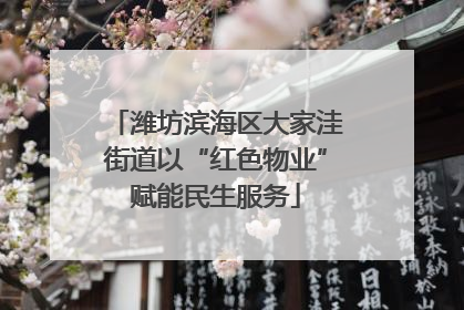 潍坊滨海区大家洼街道以“红色物业”赋能民生服务
