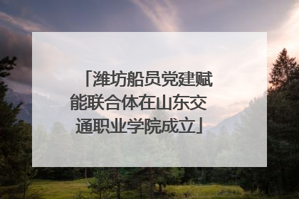 潍坊船员党建赋能联合体在山东交通职业学院成立