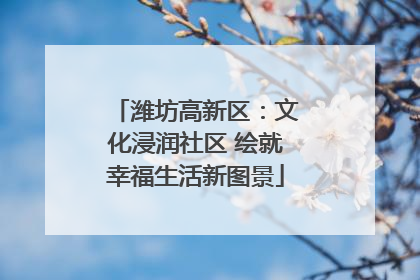 潍坊高新区：文化浸润社区 绘就幸福生活新图景