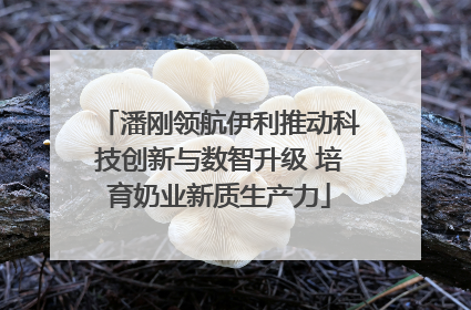 潘刚领航伊利推动科技创新与数智升级 培育奶业新质生产力