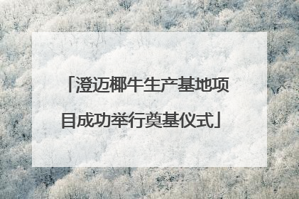 澄迈椰牛生产基地项目成功举行奠基仪式