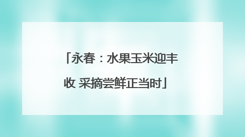 永春：水果玉米迎丰收 采摘尝鲜正当时