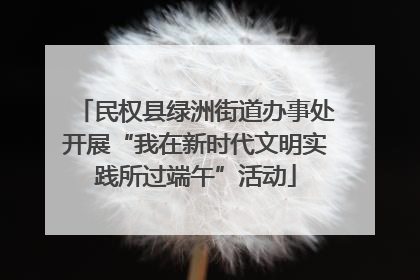 民权县绿洲街道办事处开展“我在新时代文明实践所过端午”活动