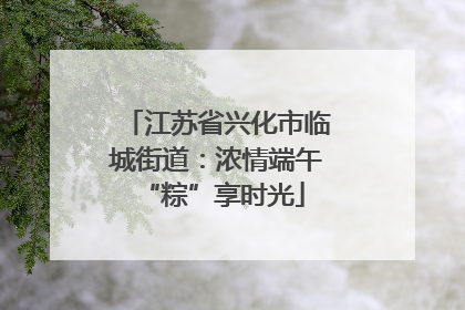 江苏省兴化市临城街道：浓情端午 “粽”享时光