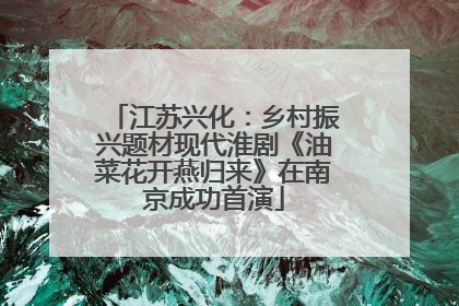 江苏兴化：乡村振兴题材现代淮剧《油菜花开燕归来》在南京成功首演