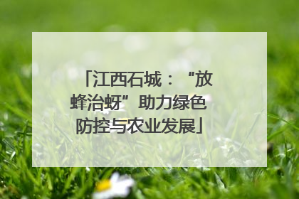 江西石城：“放蜂治蚜”助力绿色防控与农业发展