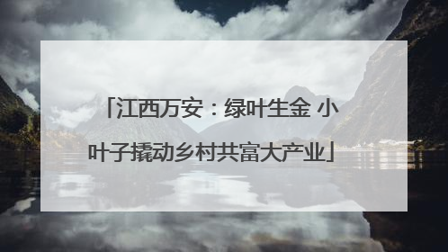 江西万安：绿叶生金 小叶子撬动乡村共富大产业