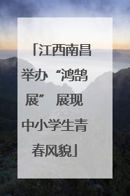江西南昌举办“鸿鹄展” 展现中小学生青春风貌
