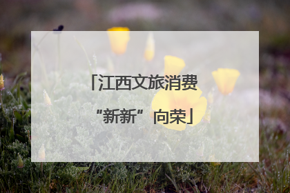 江西文旅消费“新新”向荣