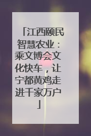 江西颐民智慧农业：乘文博会文化快车，让宁都黄鸡走进千家万户