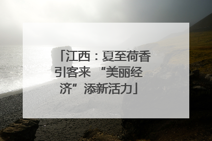 江西：夏至荷香引客来 “美丽经济”添新活力