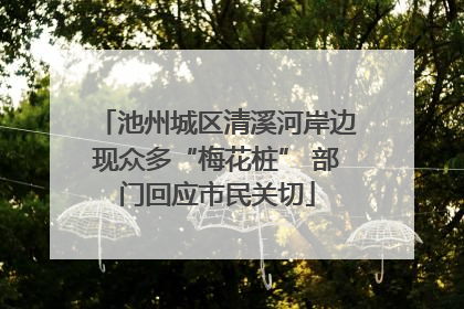 池州城区清溪河岸边现众多“梅花桩” 部门回应市民关切