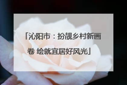 沁阳市：扮靓乡村新画卷 绘就宜居好风光
