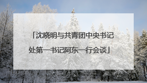 沈晓明与共青团中央书记处第一书记阿东一行会谈