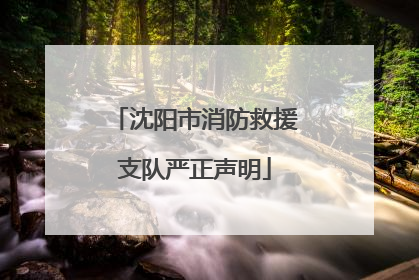 沈阳市消防救援支队严正声明