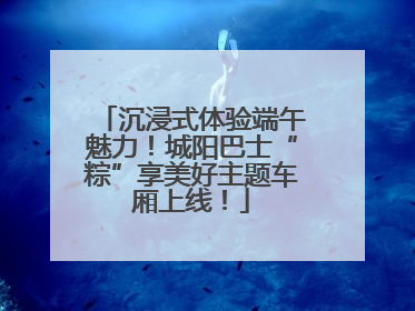 沉浸式体验端午魅力！城阳巴士“粽”享美好主题车厢上线！