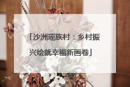 沙洲瑶族村：乡村振兴绘就幸福新画卷