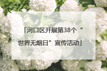 河口区开展第38个“世界无烟日”宣传活动