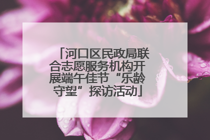 河口区民政局联合志愿服务机构开展端午佳节“乐龄守望”探访活动
