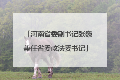 河南省委副书记张巍兼任省委政法委书记