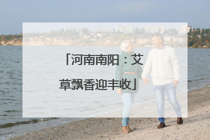 河南南阳：艾草飘香迎丰收