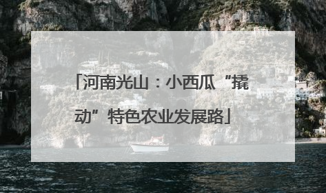 河南光山：小西瓜“撬动”特色农业发展路