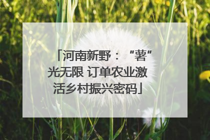 河南新野：“薯”光无限 订单农业激活乡村振兴密码