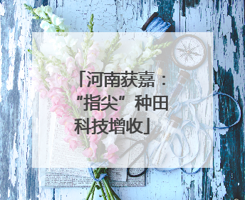 河南获嘉：“指尖”种田科技增收