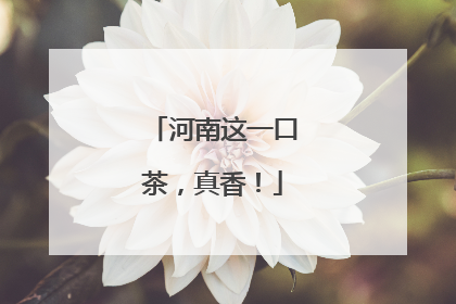 河南这一口茶，真香！