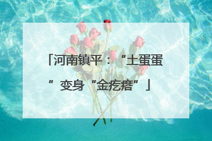 河南镇平：“土蛋蛋”变身“金疙瘩”