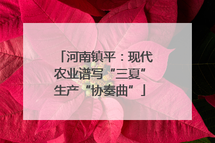 河南镇平：现代农业谱写“三夏”生产“协奏曲”
