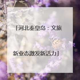 河北秦皇岛：文旅新业态激发新活力
