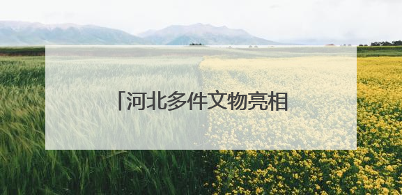 河北多件文物亮相“龙腾中国：红山文化古国文明特展”