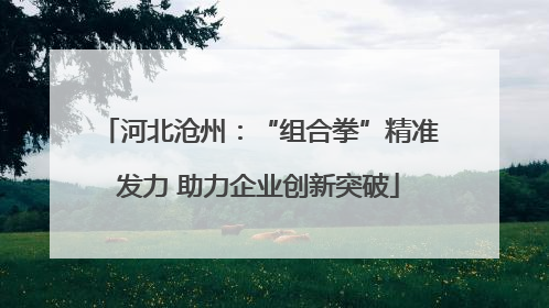 河北沧州：“组合拳”精准发力 助力企业创新突破