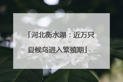 河北衡水湖：近万只夏候鸟进入繁殖期