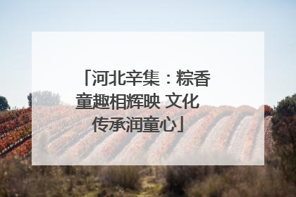 河北辛集：粽香童趣相辉映 文化传承润童心